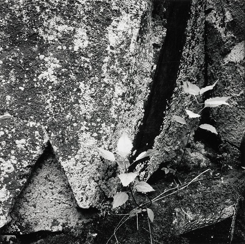 Untitled, Robert Gene Wilcox, 20th century