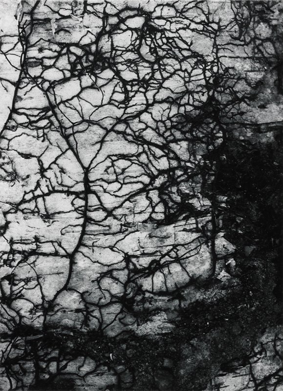 Untitled, Robert Gene Wilcox, c. 1958 (?)