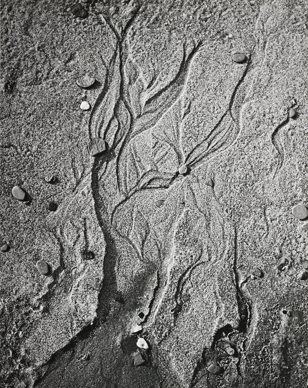 Untitled, Robert Gene Wilcox, 1953