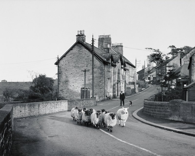 Great Britain, Robert Gene Wilcox, 1956