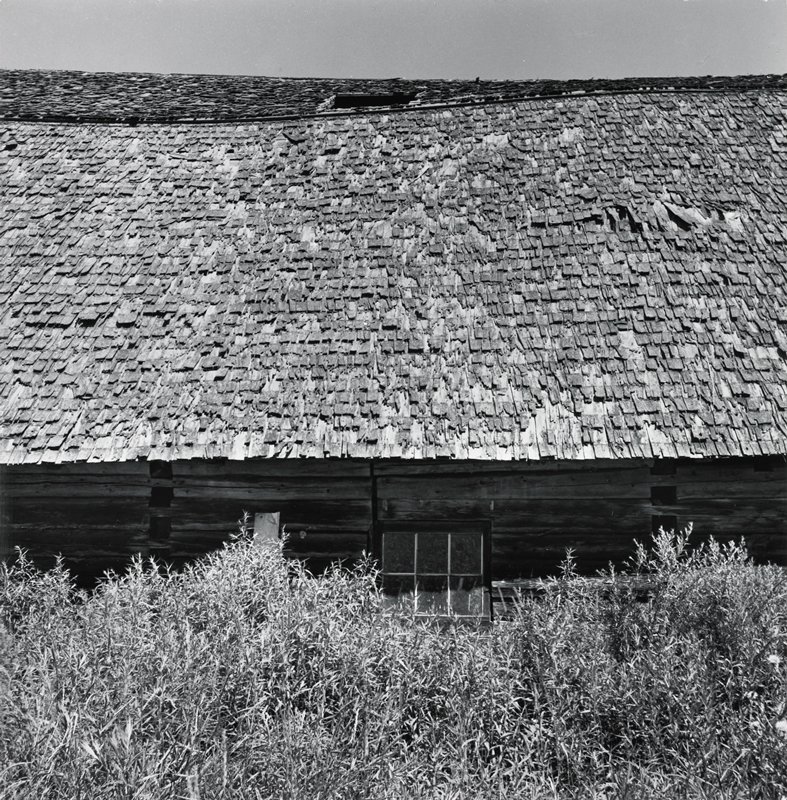Northern Wisconsin, Robert Gene Wilcox, 1962