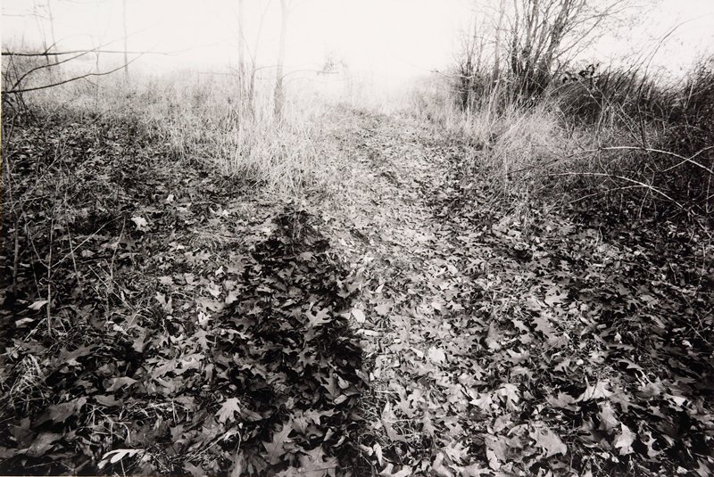 Untitled, Michael Simon, 1974