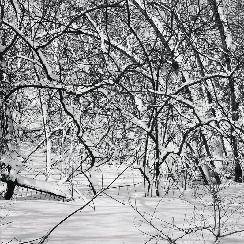 Minneapolis, Robert Gene Wilcox, 1960