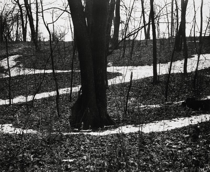 St. Paul, Minnesota, Robert Gene Wilcox, 1960