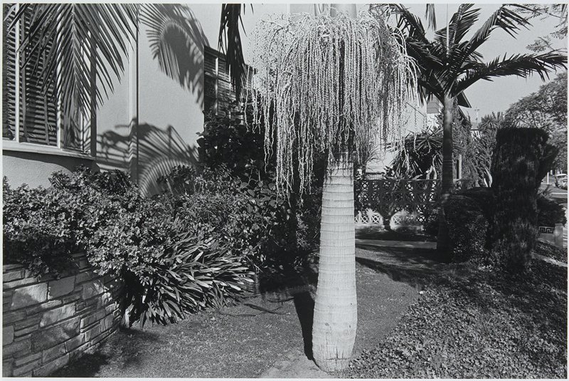 Hollywood, Benjamin M. Lifson, 1973