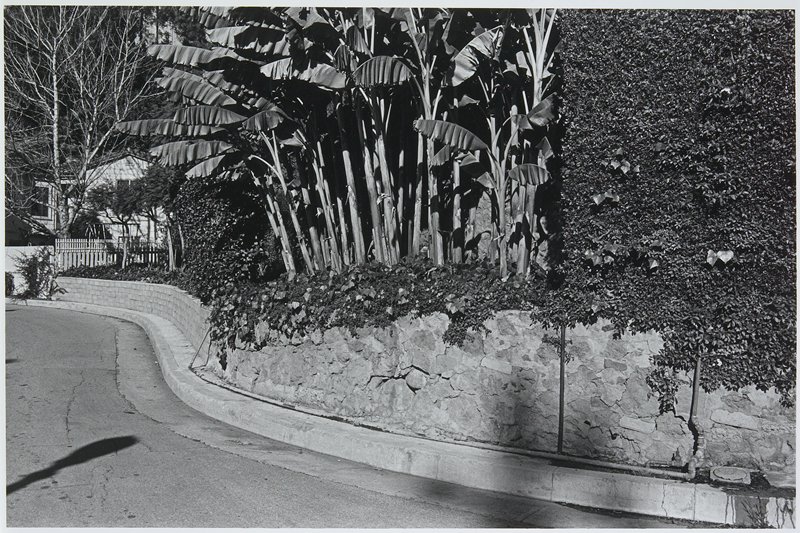 Hollywood, Benjamin M. Lifson, 1973