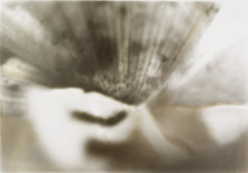 Aerial View of Garden II, Linda Rossi, 20th century