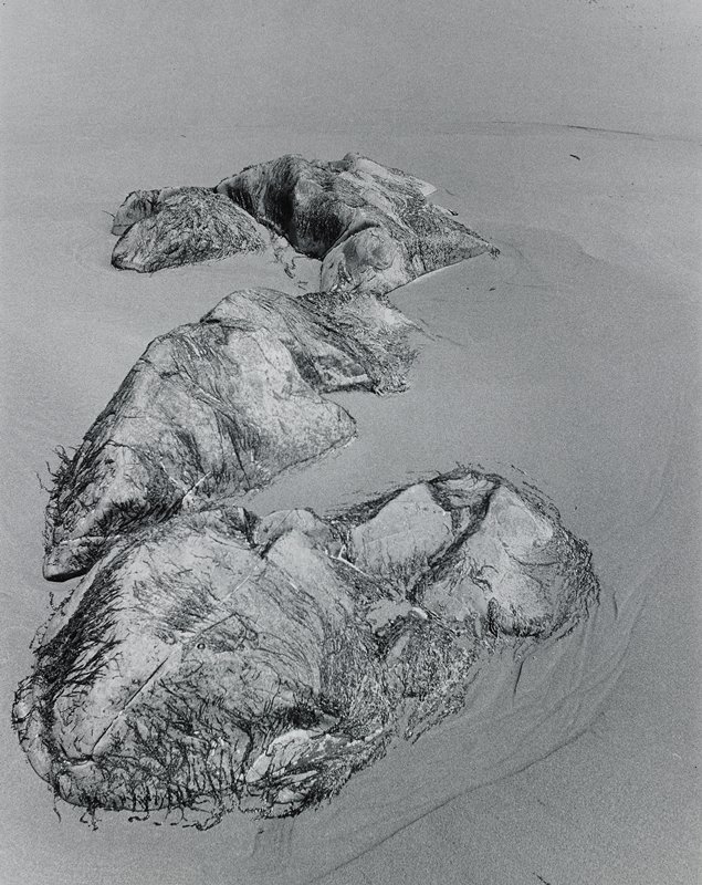 Untitled, Claire Trotter, 1974