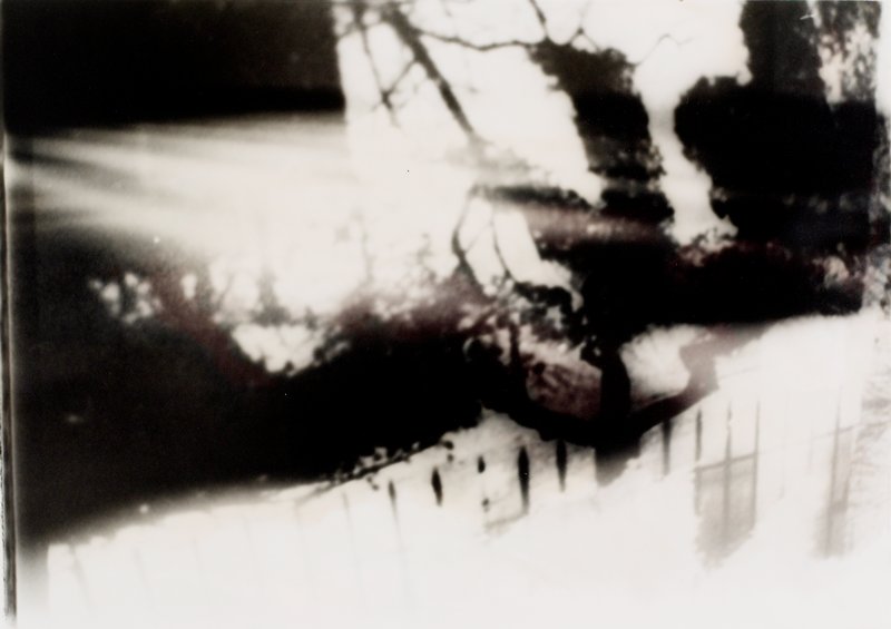 Woodlawn II, Linda Rossi, 20th century