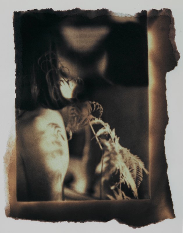 Fuya Niwa, Berkley, California, Geraldine K. Mitchell, 1976