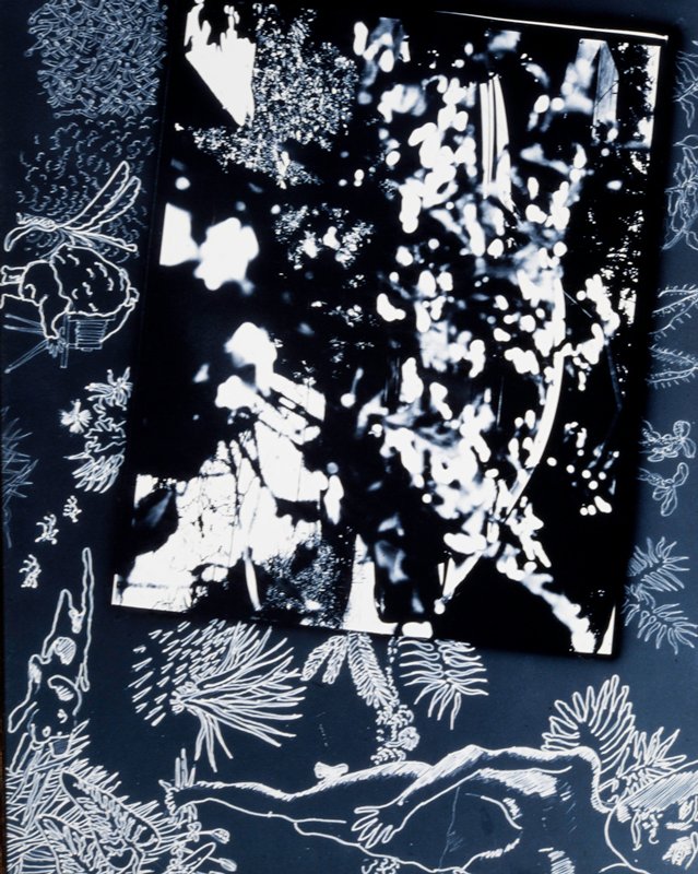 The Machine in the Garden, Robert W. Fichter, 1976