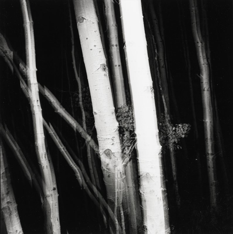 Untitled, Aaron Siskind, 1976