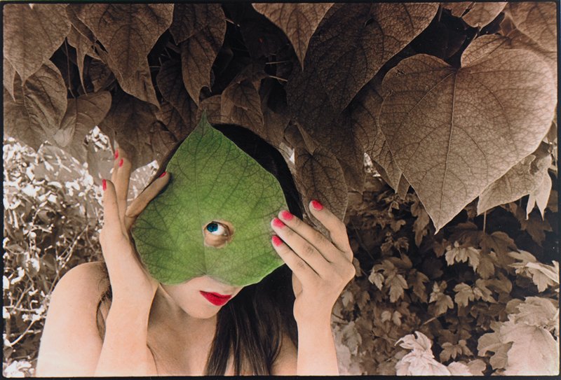 Whoosis, Karen Truax, 1975