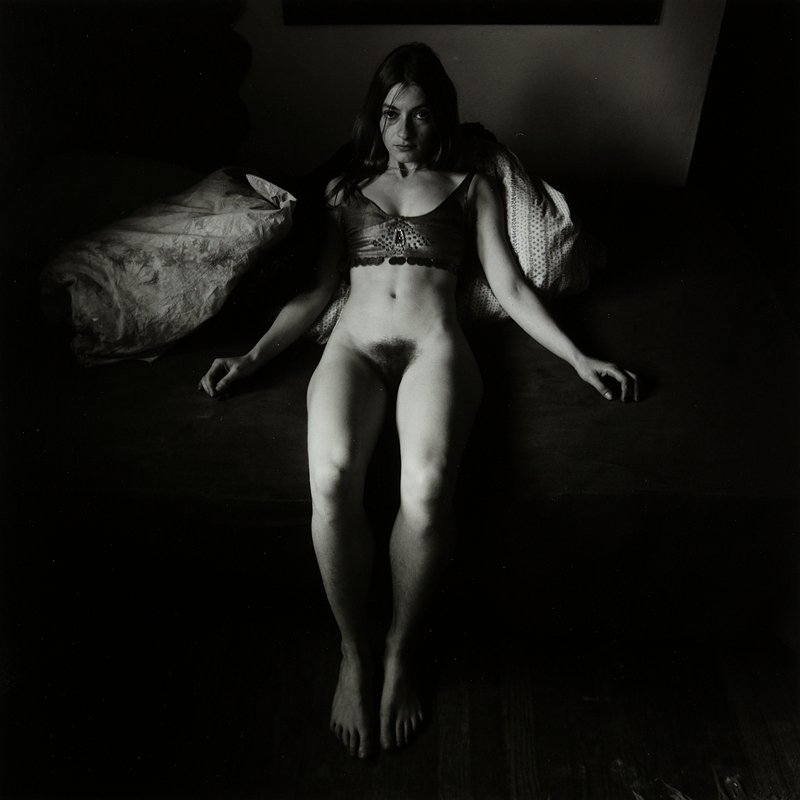 Ivy, Wayne R. Lazorik, 1973