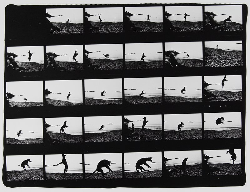 Washington, Michael D. Mcloughlin, 1969