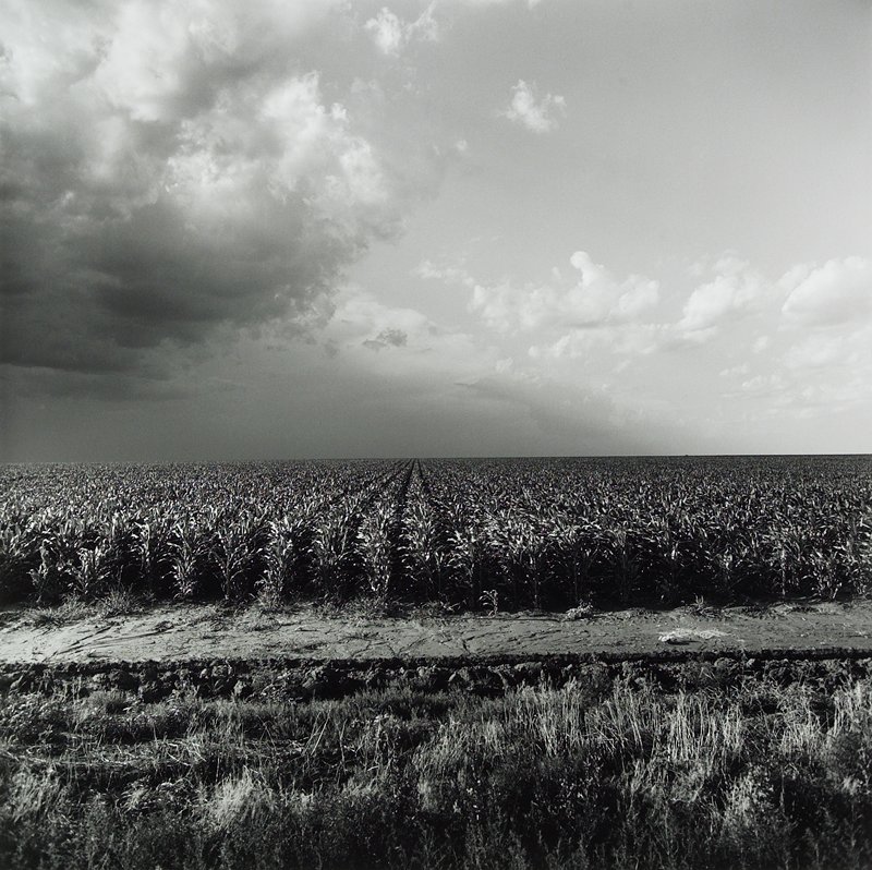 Landscape, Cornfield and Thunderstorm near Plainview, Texas, Frank W. Gohlke, 1975