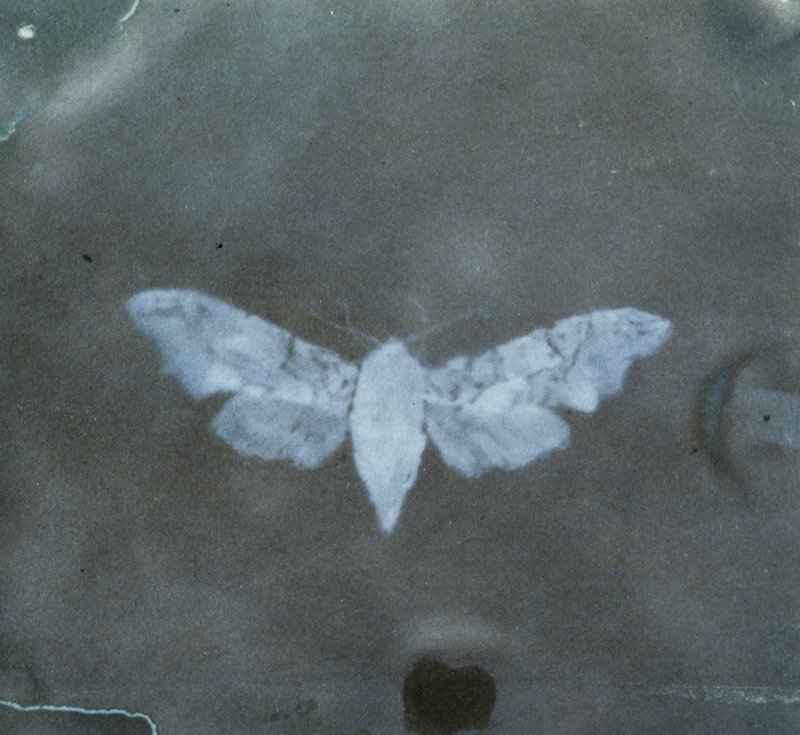 Untitled, Possibly England, c. 1840–43