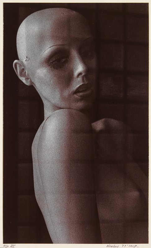 Reflection, George Hoehn, 1977