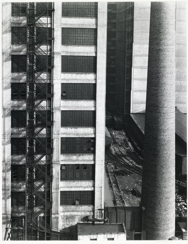 The Coconut Factory, Ralph Steiner, printed 1977