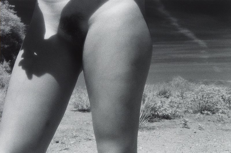 Untitled [pelvis], Susan Gordon, 1977
