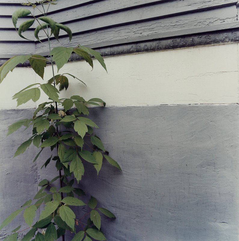 Minneapolis, Lawrence J. Merrill, 1979