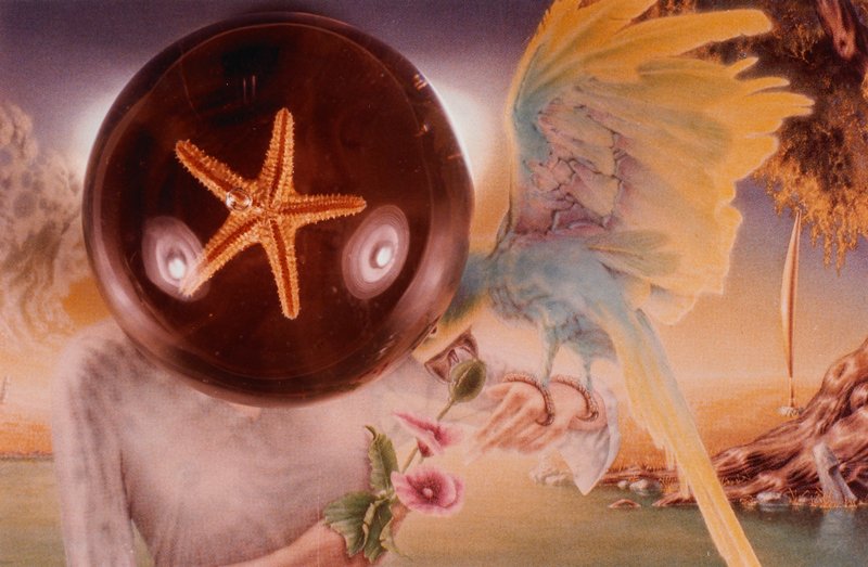 Untitled, Carla Steiger-Meister, 1978