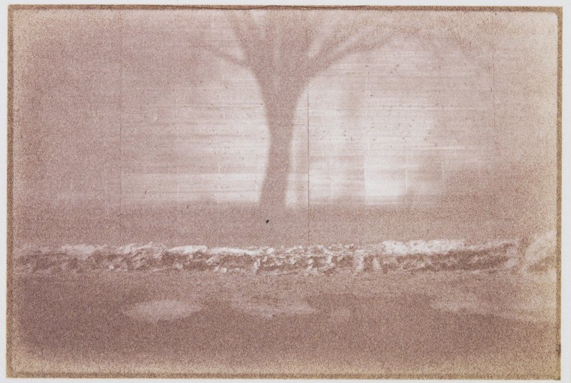 Untitled, Allen Swerdlowe, 1979