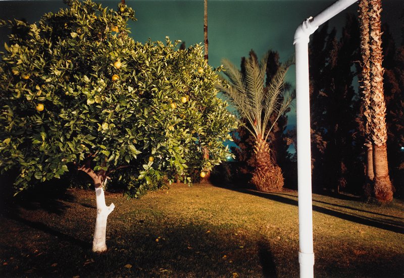 Untitled, Wanda Hammerbeck, 1979