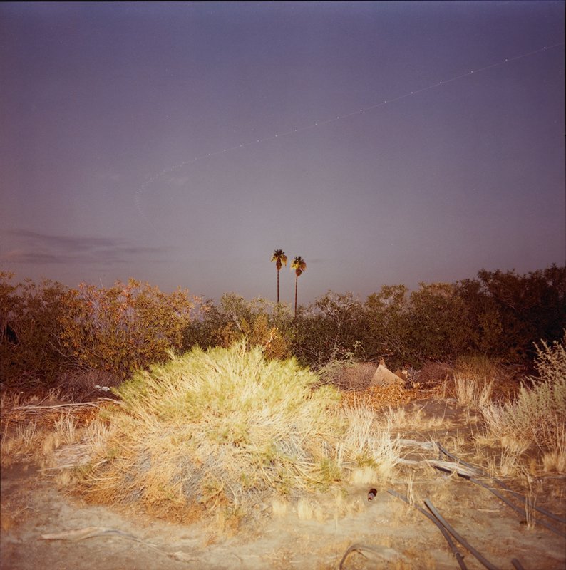 Untitled, Richard Misrach, 1979