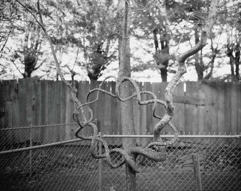 Untitled, Linda Connor, 1978