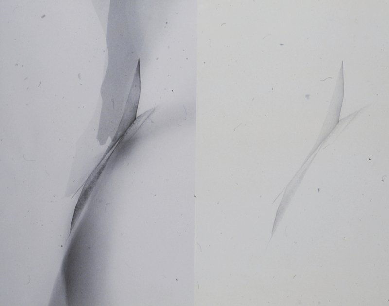 Two Adjacent Pivotal Motions, One Continuous, One Started and Ended in the Paper Surface by Blythe Bohnen