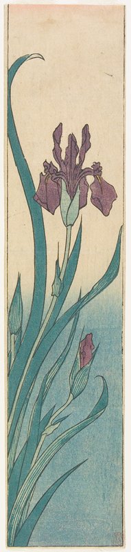Iris, Utagawa Hiroshige, 1840s