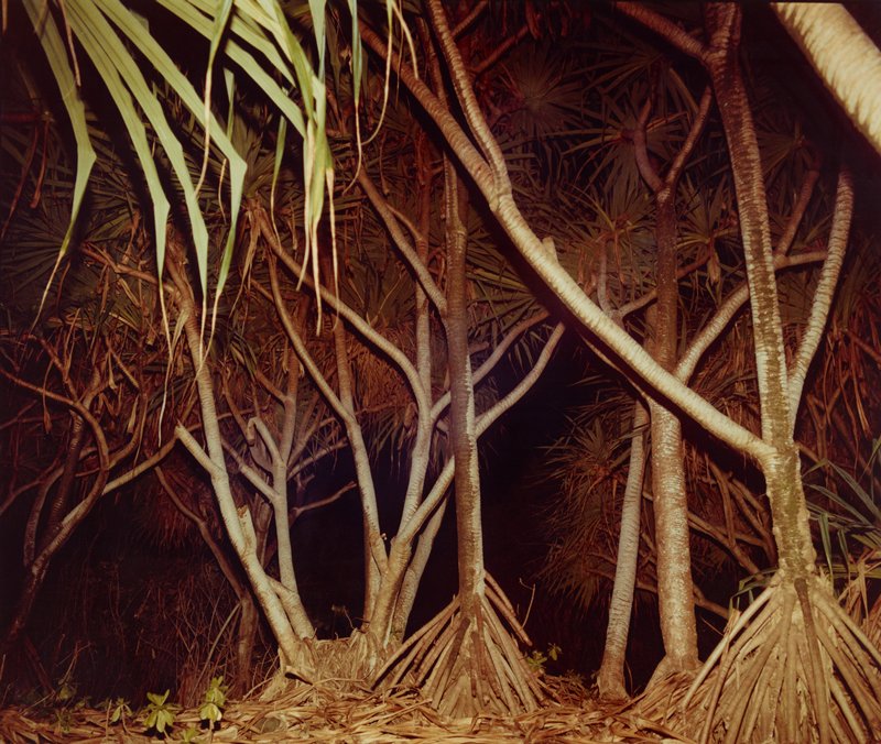 Hawaii VII, Richard Misrach, 1978