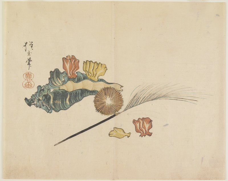 Shells, Yamada Hōgyoku, 1830s