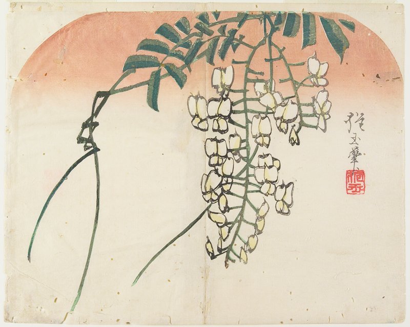White Wisteria, Yamada Hōgyoku, 1830s