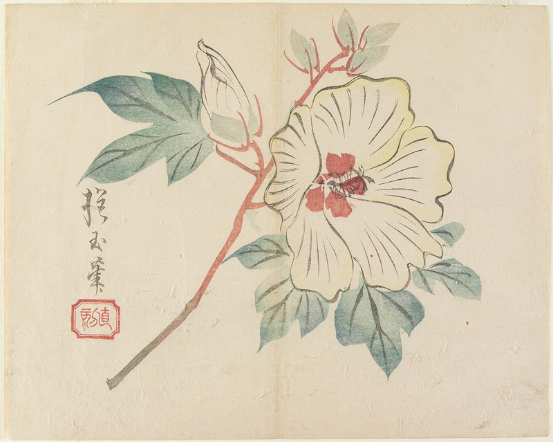 Large White Flower, Yamada Hōgyoku, 1830s