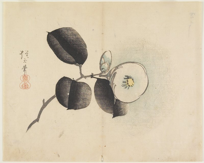 Camellia Flower and Bud, Yamada Hōgyoku, 1830s