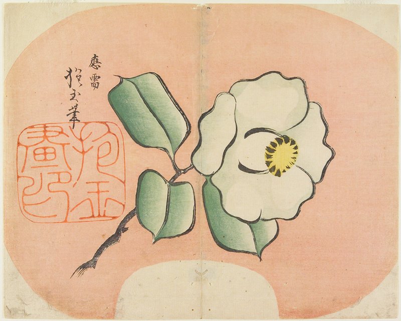 White Camellia, Yamada Hōgyoku, 1830s