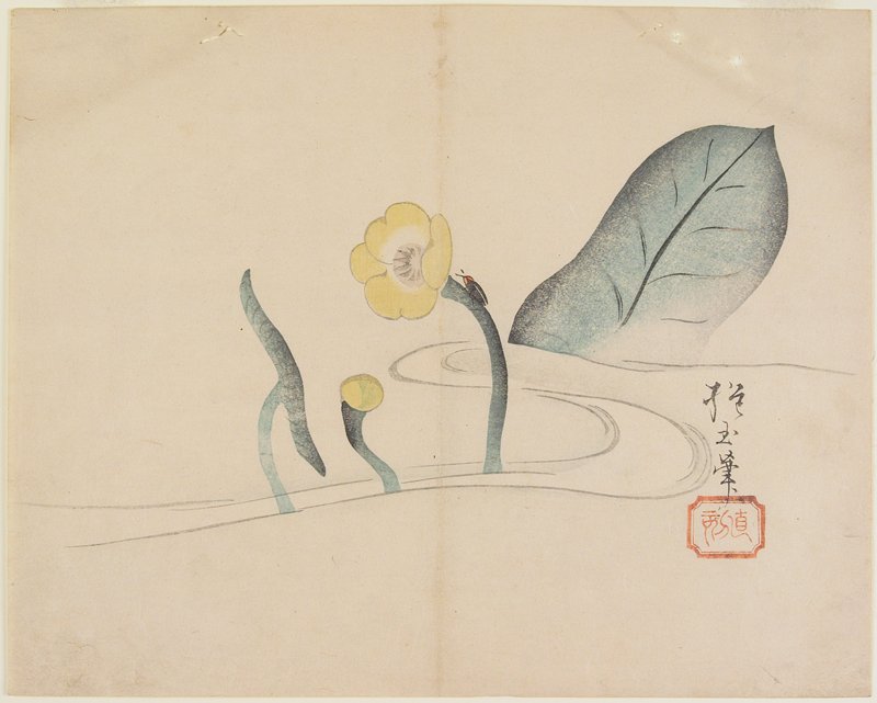 Lotus and a Gold Bug, Yamada Hōgyoku, 1830s