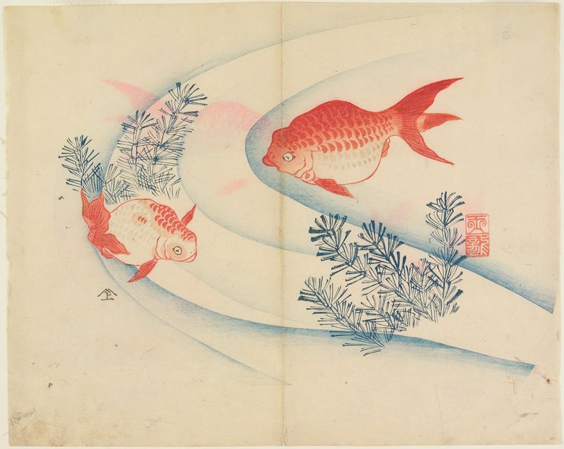 Two Goldfish in Water, Yamada Hōgyoku, 1830s