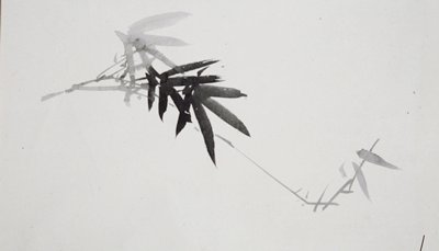 Flower Studies [one of a pair], Shibata Zeshin, second half 19th century