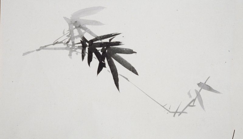 Flower Studies [one of a pair], Shibata Zeshin, second half 19th century