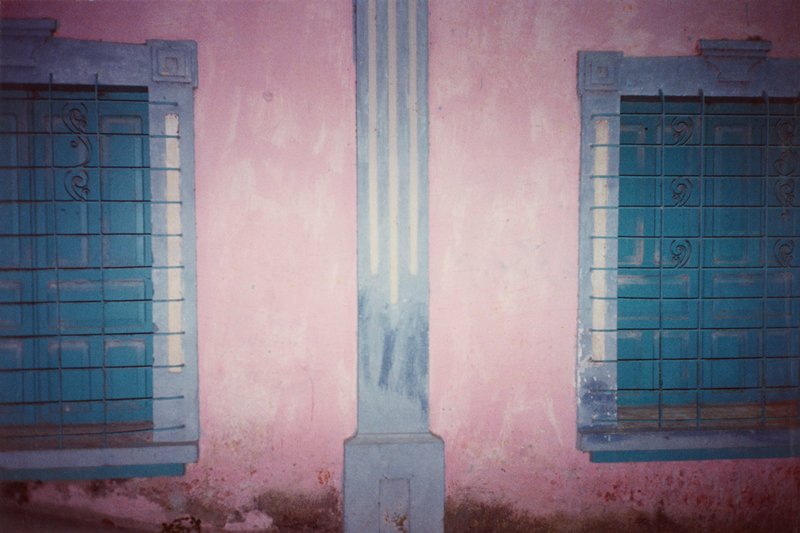 Flores, No. 2, Allen Swerdlowe, 1981