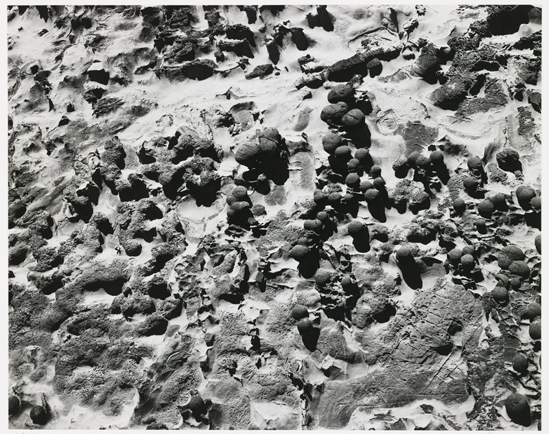 Shore Acres, Oregon, Michael A. Smith, 1979