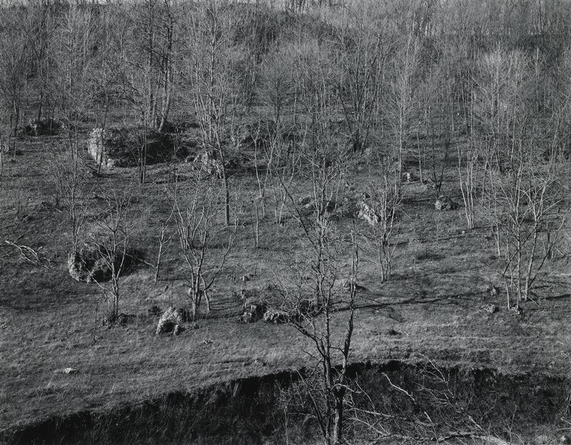 Wisconsin 1971, Hillside, Charles H. Traub, 1971