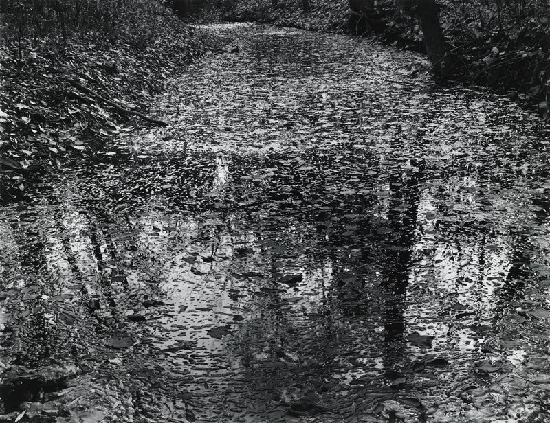 Kentucky 1970, Creek Bed, Charles H. Traub, 1970