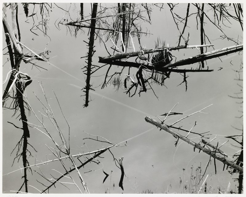 Near Newcomb, New York, Michael A. Smith, 1977