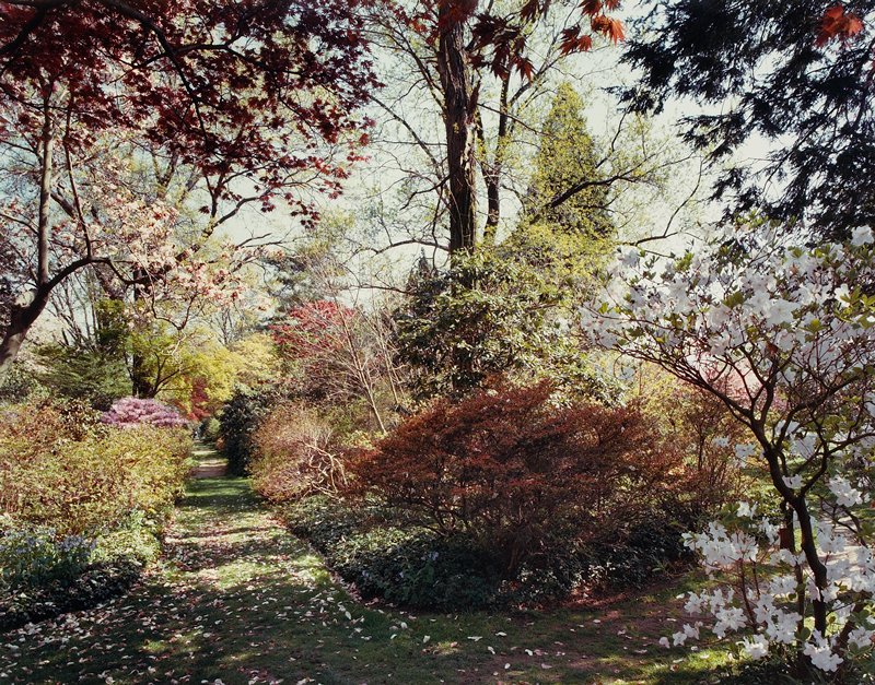 Coe Estate, Oyster Bay, New York, Len Jenshel, 1982