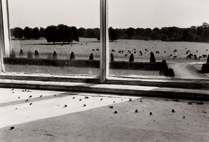 Flies in the Window, Castletown House, Ireland, Alen MacWeeney, 1972  (printed 1979)