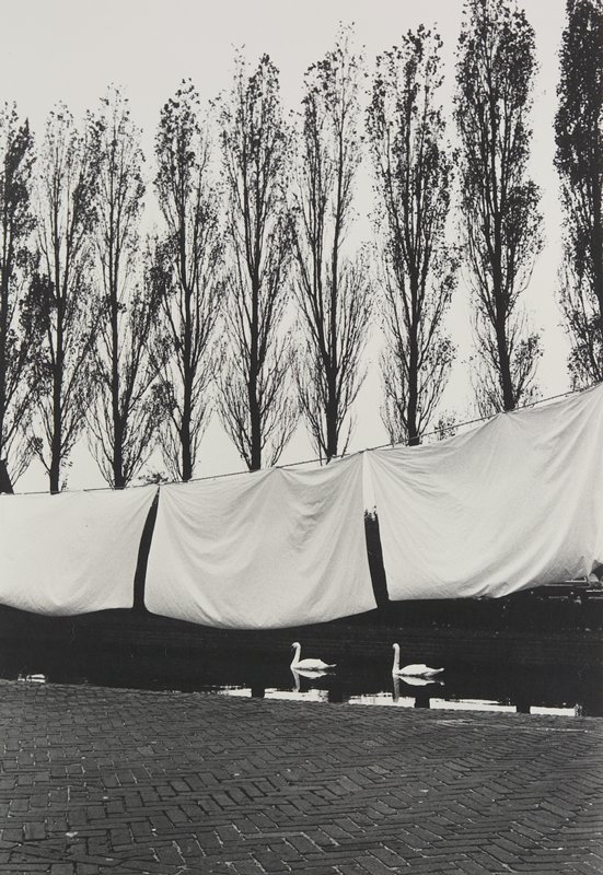 Swans, Trees, and Bed Sheets, Victor Keppler, 1969